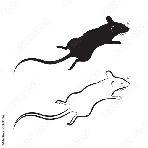 Vector of a rat design on white background. Mammal Animal.