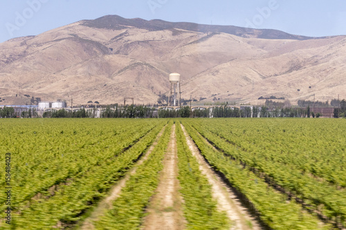 Farm in Central Valley California, near Soledad, CA.