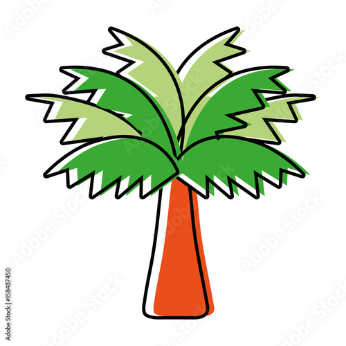 palm tree with leaves and vegetation