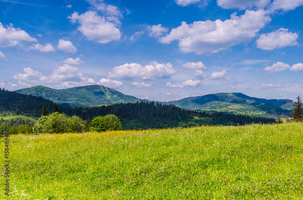 Background of Carpathian mountains landscape in Ukraine