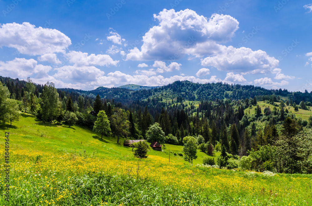 Obraz premium Background of Carpathian mountains landscape in Ukraine
