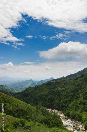 Forest of the Fansipane Mountain, Vietnam