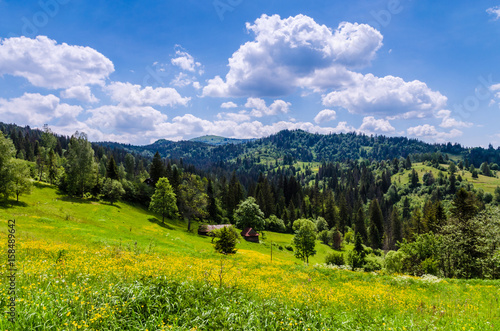 Background of Carpathian mountains landscape in Ukraine