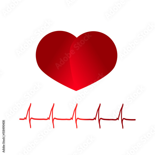 ECG graph and heart