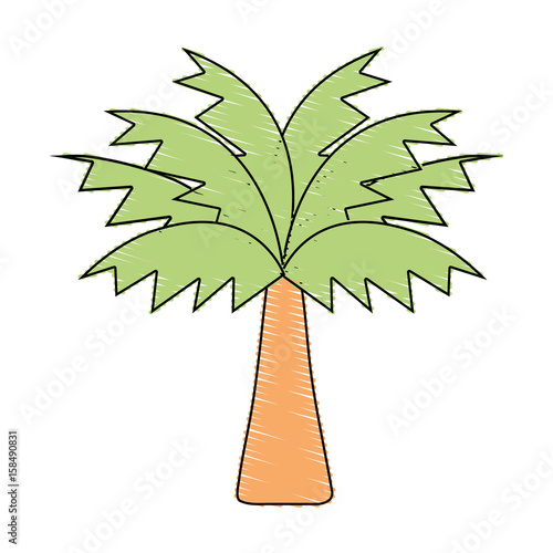 palm tree with leaves and vegetation