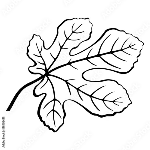 Fig Tree Leaf Black Pictogram, Outline Contour Pictogram Isolated on White Background. Vector