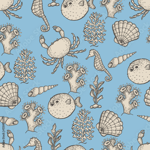 Hand drawn sea life illustration. Sketch seamless pattern