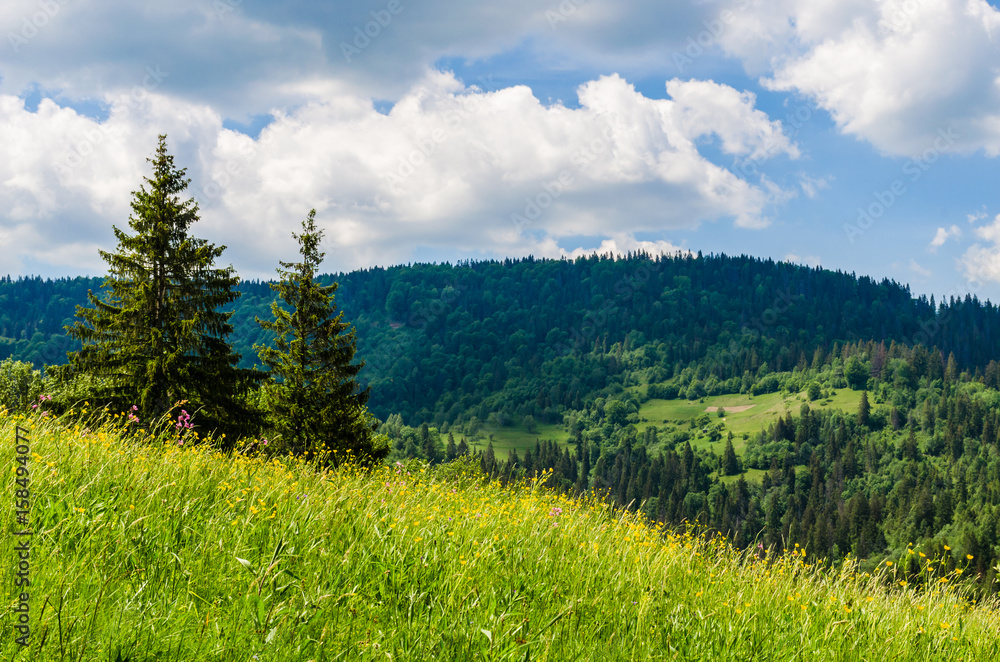 Background of Carpathian mountains landscape in Ukraine