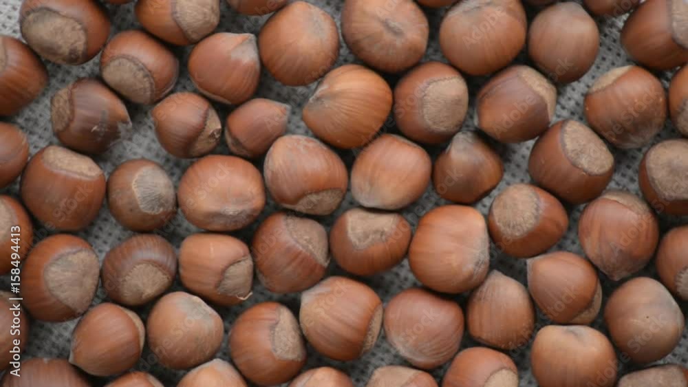 The nut hazelnut rotates on the turntable. The nut hazelnut rotates on the turntable.