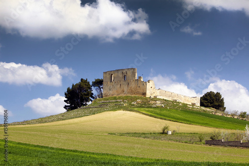 Gravina di Puglia, Castello Svevo