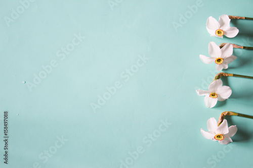 Fototapeta Naklejka Na Ścianę i Meble -  Flower frame made of narcissus on a neutral green background. Top view. Floral background.