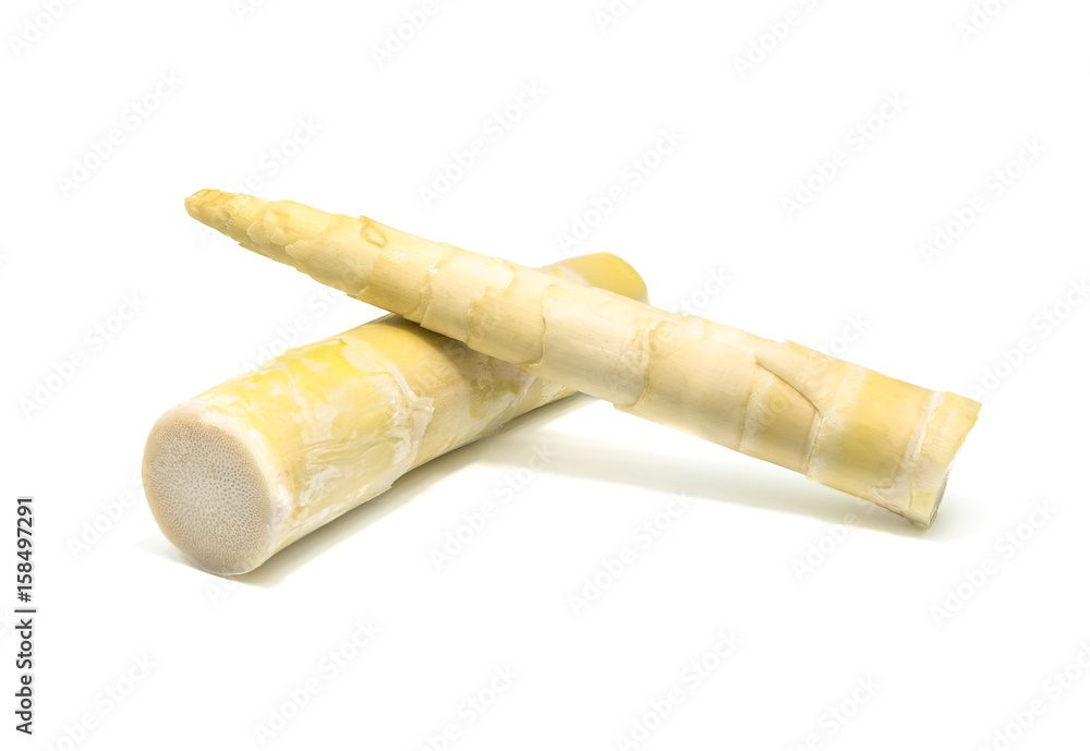 Bamboo shoot on white background. Bamboo shoot on white background.