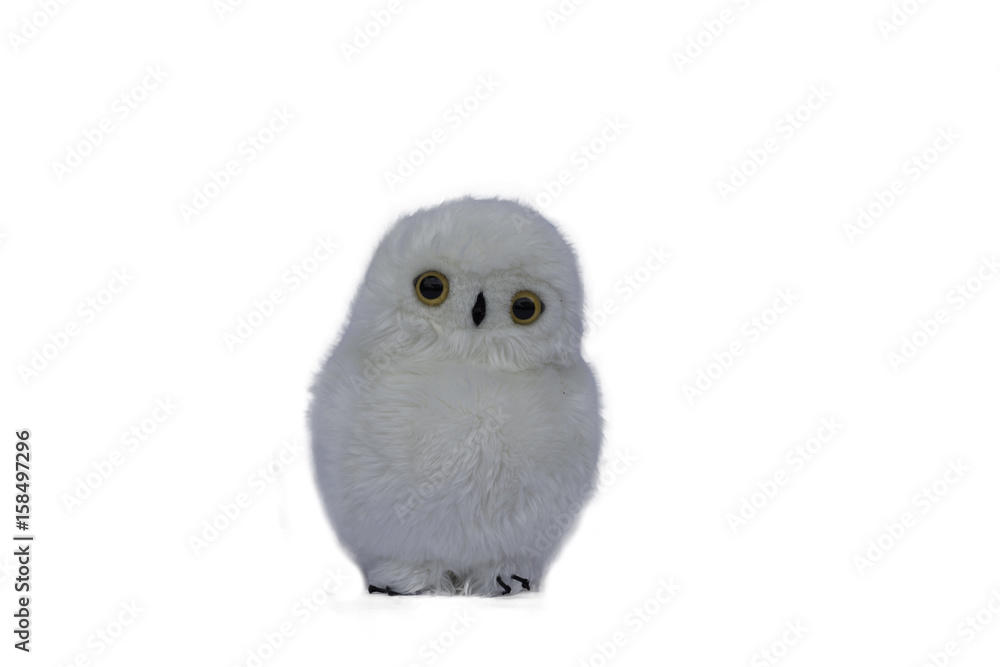 Stuffed animal owl toy,Isolated on white background. Stuffed animal owl toy,Isolated on white background.