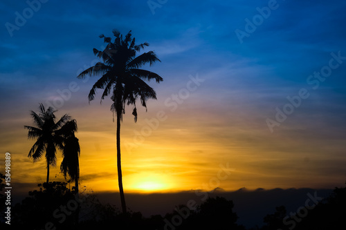 Fototapeta Naklejka Na Ścianę i Meble -  Golden tropical sunset with silhouette palm trees