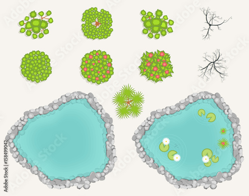 Lake and trees set in top view. Pond, decorative pool with rocks, plants, reeds and fish. Set of green, and burnt trees for architectural and landscape design Cartoon style, view from above