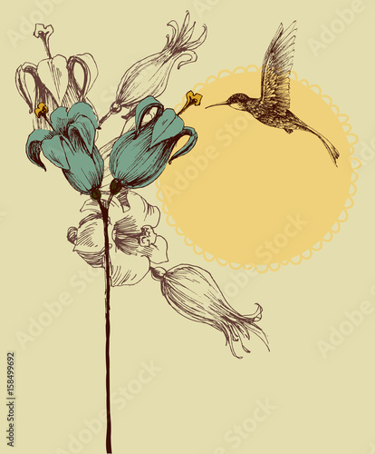Cute colibri invitation card, retro style