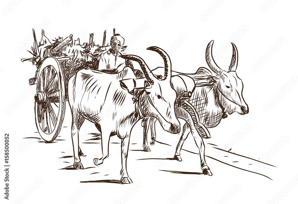 Cow carries a cart Hand drawn  Drawing illustrations Drawing people  Pictures to draw