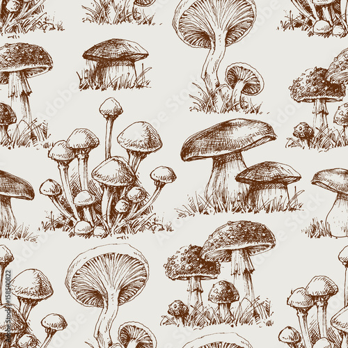 Mushroom seamless pattern