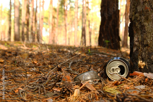 Russia, Siberia. Tin can and glass bottle on a grass in a pine forest.