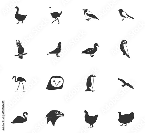 birds icon set