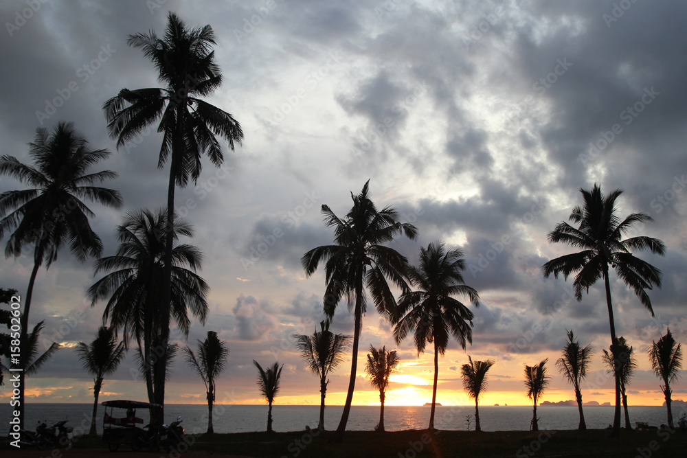 Travel to island Koh Lanta, Thailand. Palms tree on the background of the colorful sunset and cloudy sky on a beach.