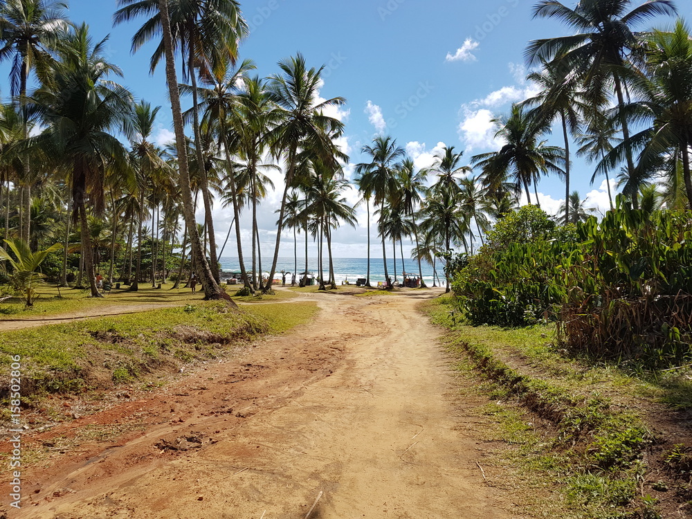 Way to the beach. Bahia Brazil
