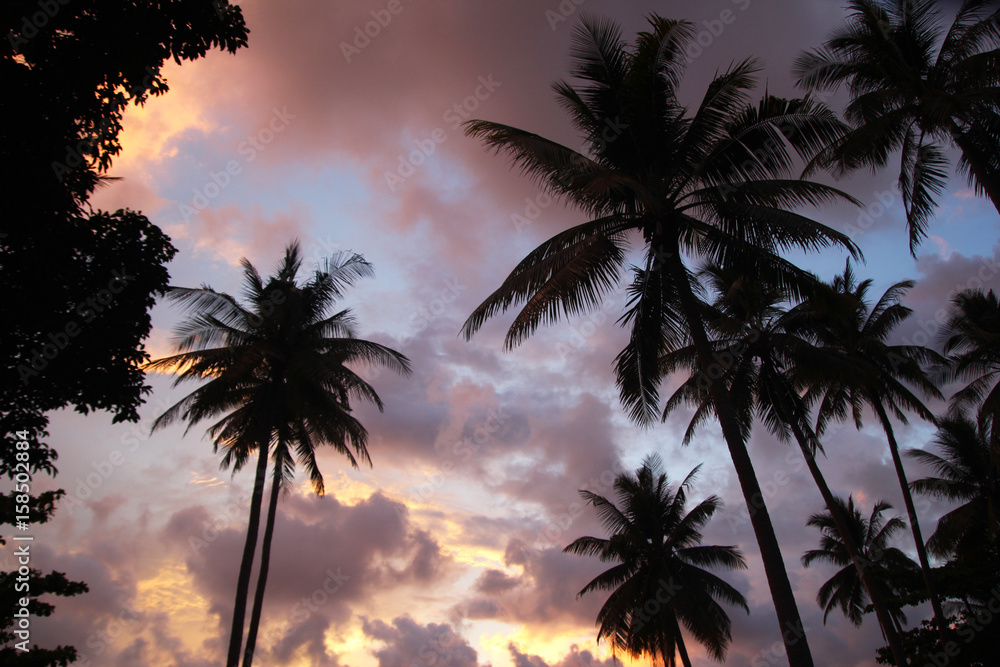 Travel to island Koh Lanta, Thailand. The colorful sky with palms tree at the sunset. Travel to island Koh Lanta, Thailand. The colorful sky with palms tree at the sunset.