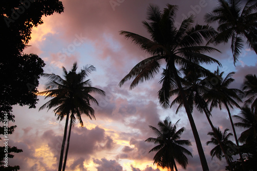 Travel to island Koh Lanta, Thailand. The colorful sky with palms tree at the sunset.