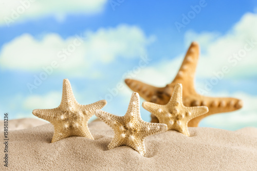 Starfishes on beach sand and blue sky in background