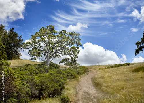 Country Road