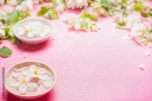 Water bowl with spring blossom and bokeh , top view, border. Springtime concept