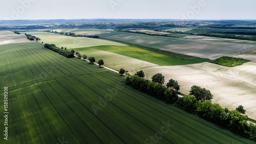 Fotografie, Obraz Aerial view landscape from a hungarian country