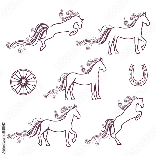 Collection of vector illustrations of horses