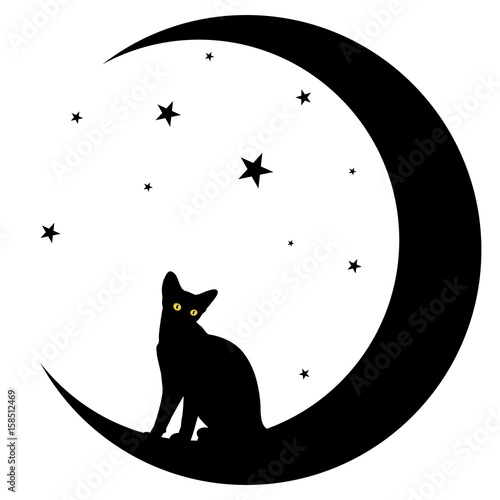 Naklejka Kot z księżycem.