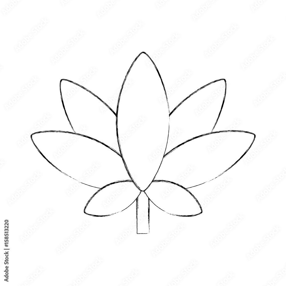 leaf plant decorative icon vector illustration design leaf plant decorative icon vector illustration design