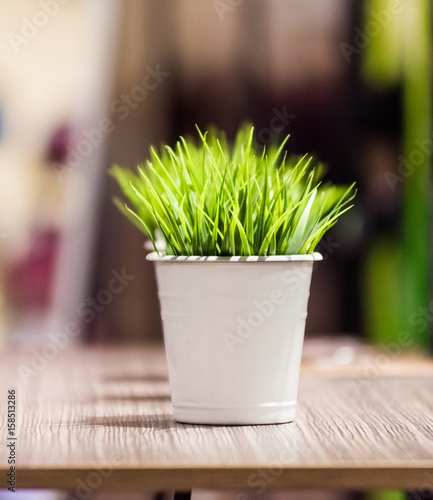 Decorative beautiful green grass in the metal bucket under the light standing on the wooden table