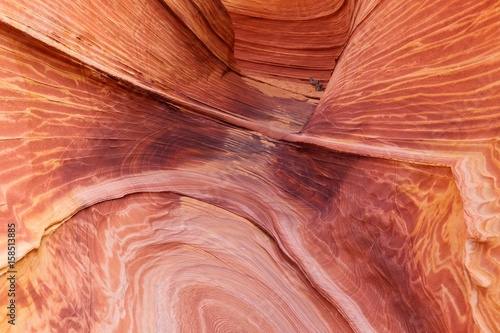 The Wave, Coyote Buttes in the Vermilion Cliffs photo