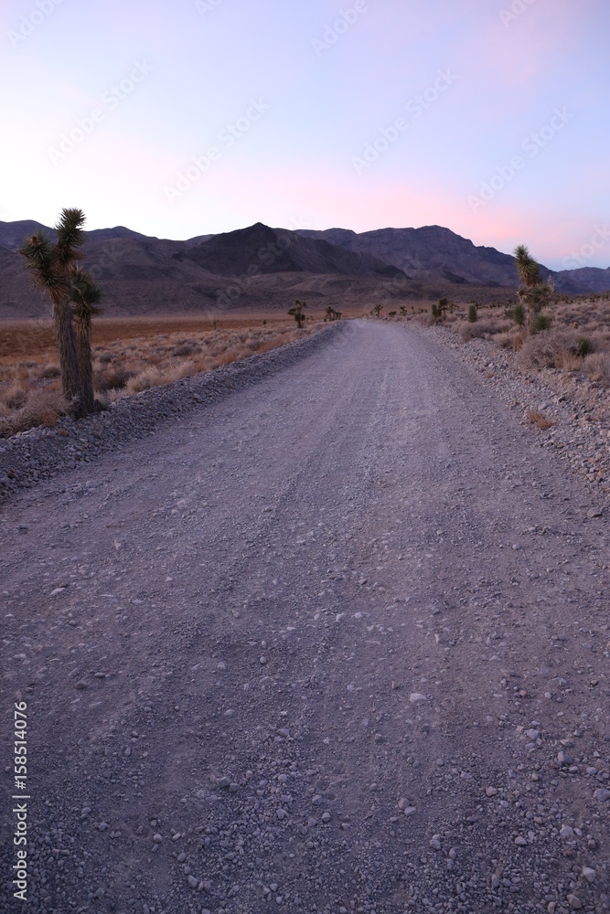 Road to the Racetrack Playa, in Death Valley NP, California, USA