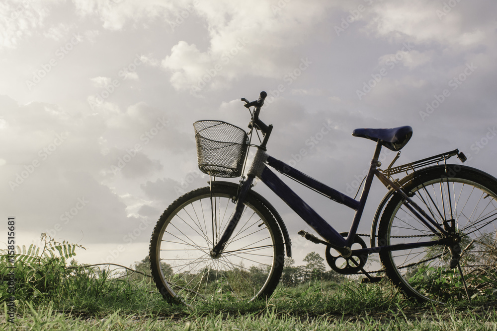 bicycle bicycle