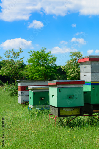 Hives in an apiary with bees. Apiculture. © kosolovskyy