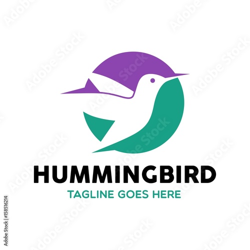 Unique Hummingbird Logo Template