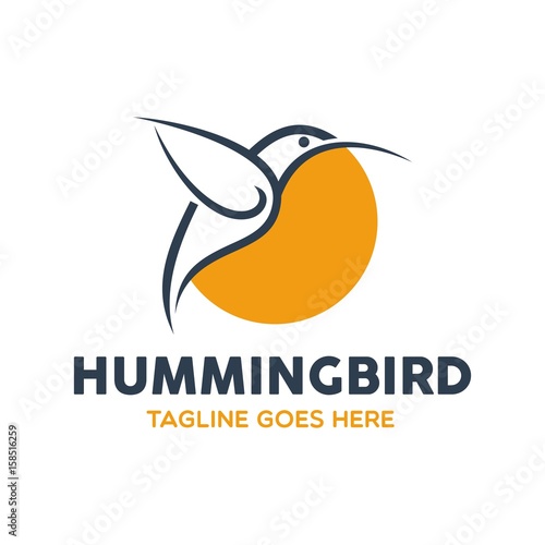 Unique Hummingbird Logo Template