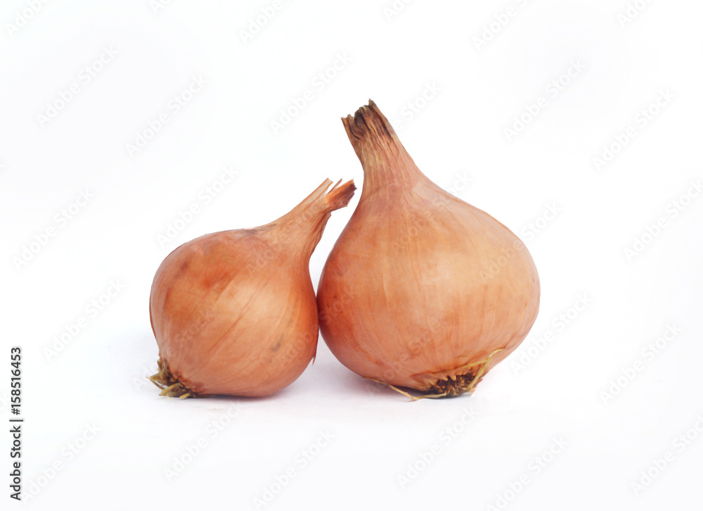 Onions Isolated