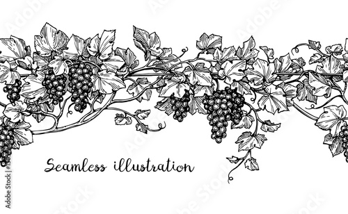 Seamless grapevine sketch