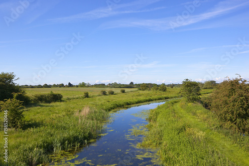 canal landscape in summer