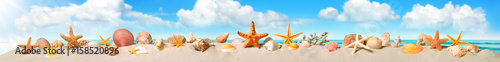 Muscheln auf dem Sand am Strand, pfiffig arrangiert, Banner Format photo