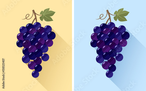 Flat design of grape bunch. Vector illustration