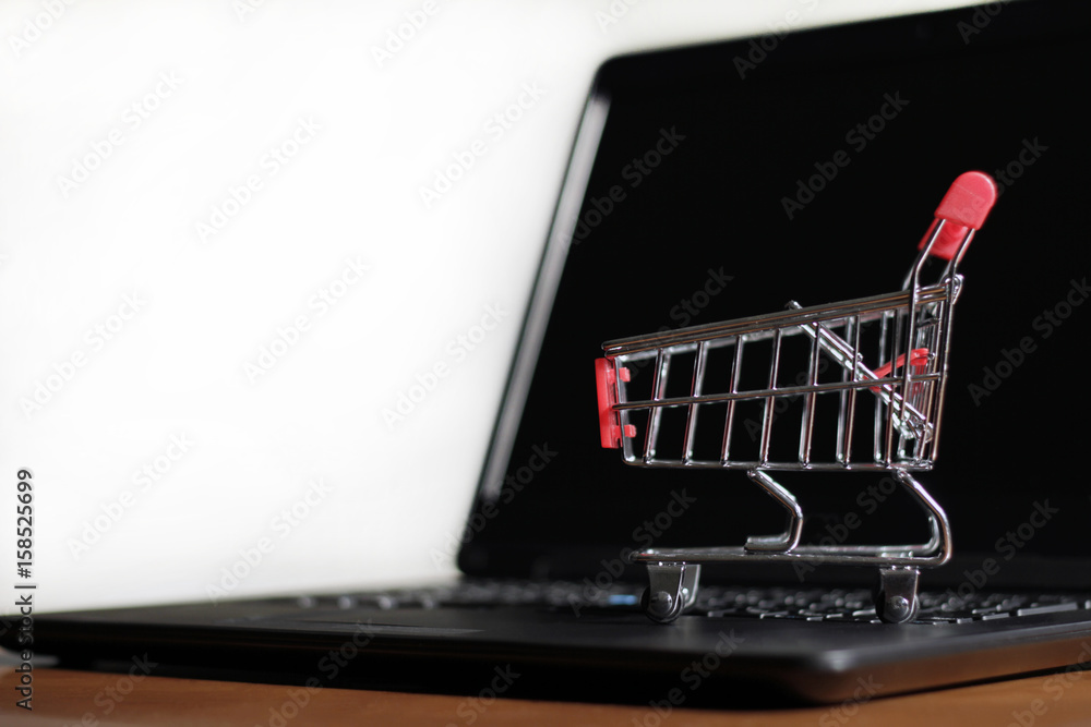 Online / Shopping / Cart