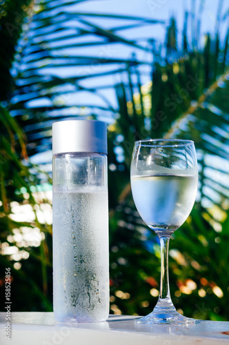 Refreshing drinkable cold water in the bottle. Cold water with tropical background © Ivan Trizlic