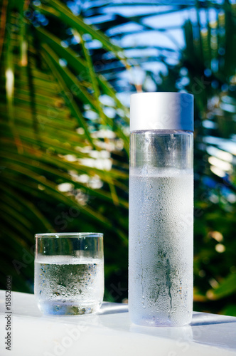 Refreshing drinkable cold water in the bottle. Cold water with tropical background